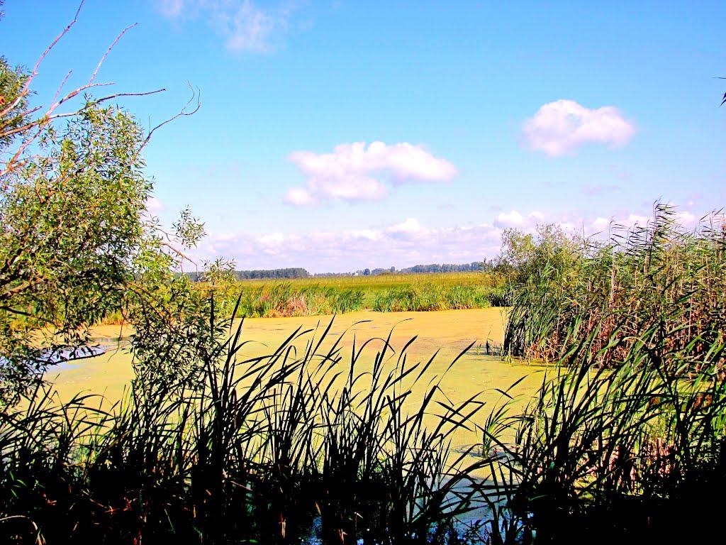 Четвертня з panoramio.com - Четвертня