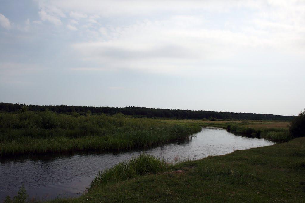 Селець з panoramio.com - Селець