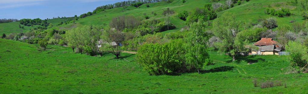 Гавронці з panoramio.com - Гавронці