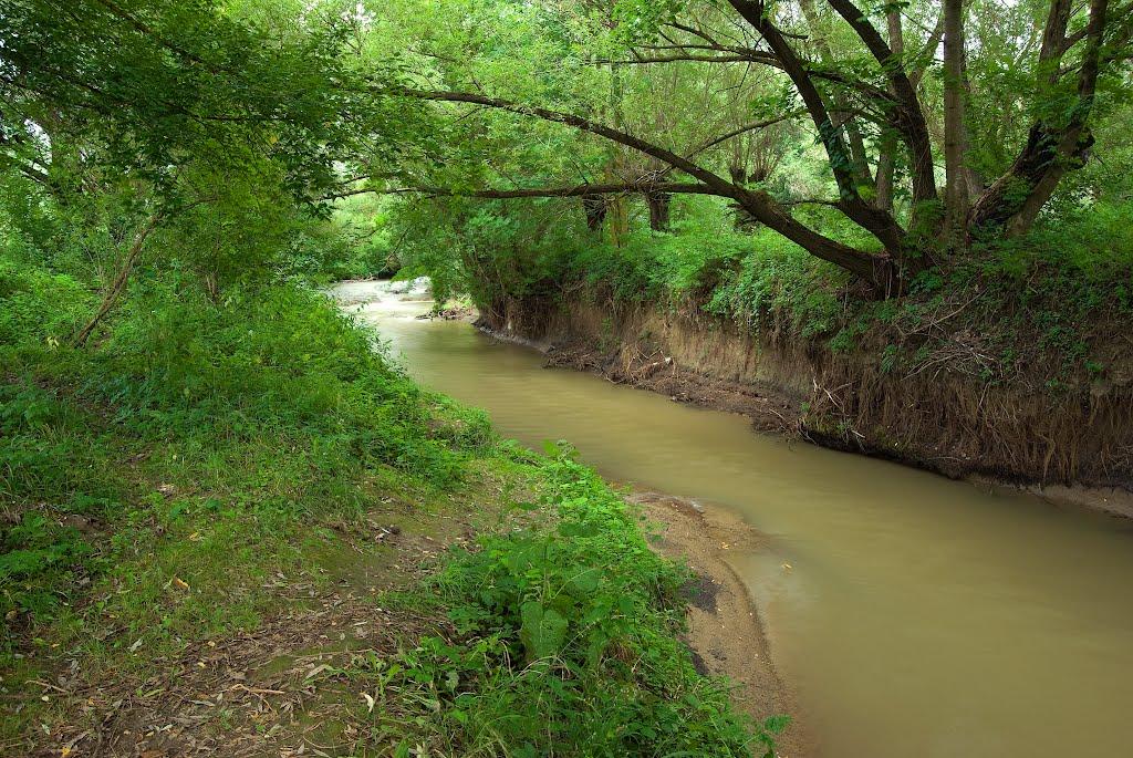 Миньківці з panoramio.com - Миньківці