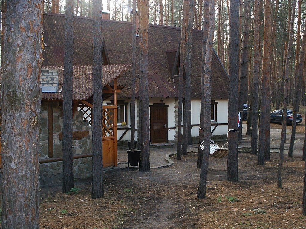 Богородичне з panoramio.com - Богородичное