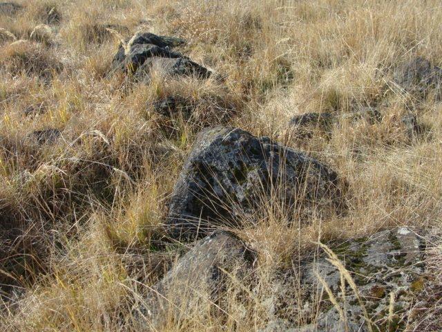 Бедевля з panoramio.com - Бедевля