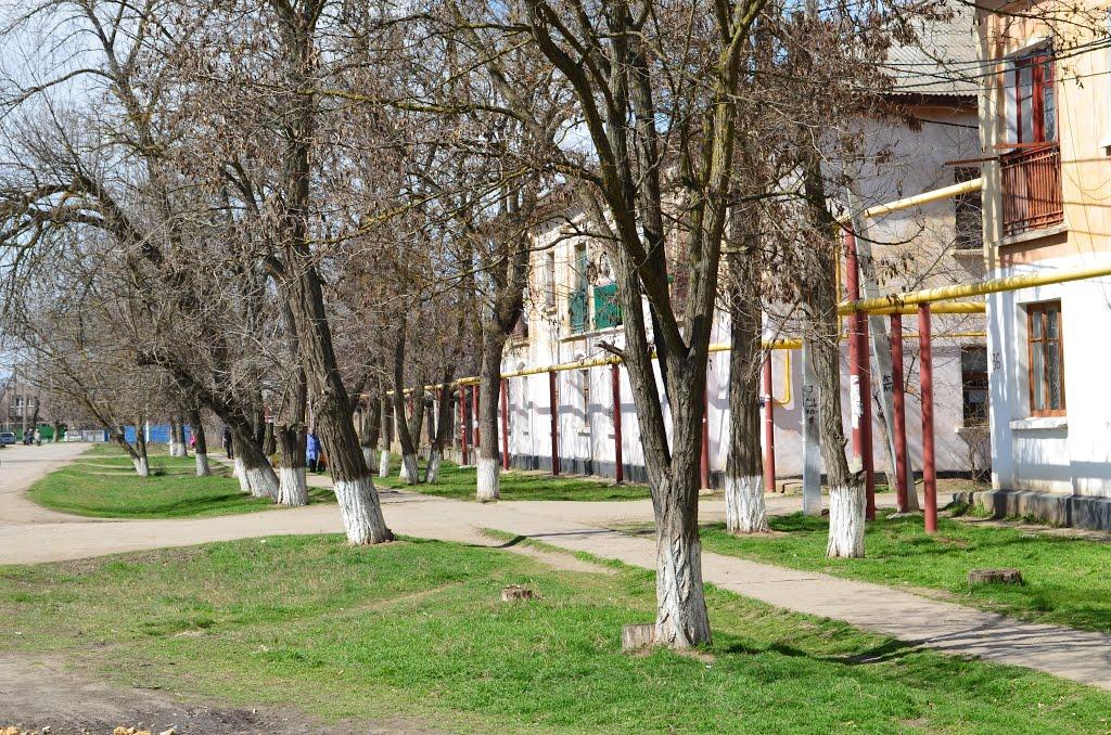 Амурське з panoramio.com - Амурське