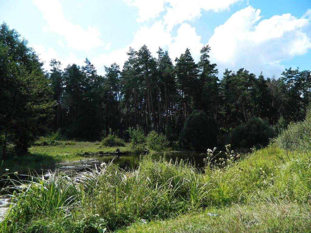 Шепетівка з panoramio.com (ч.2) - Шепетовка