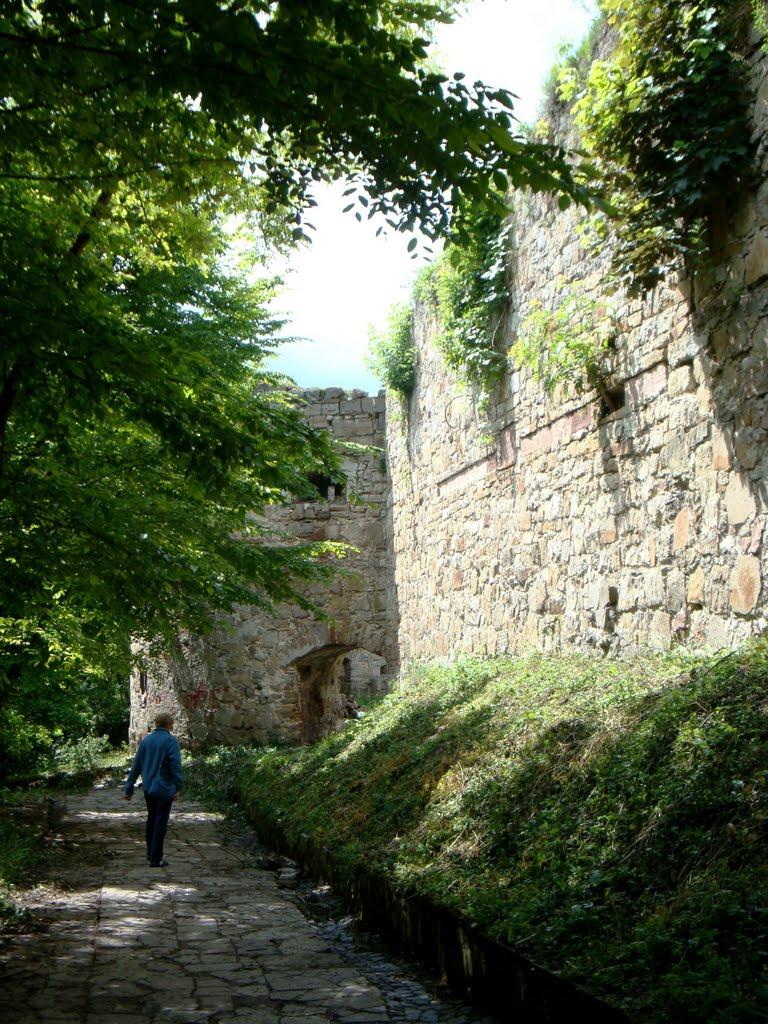 Теребовля з panoramio.com - Теребовля