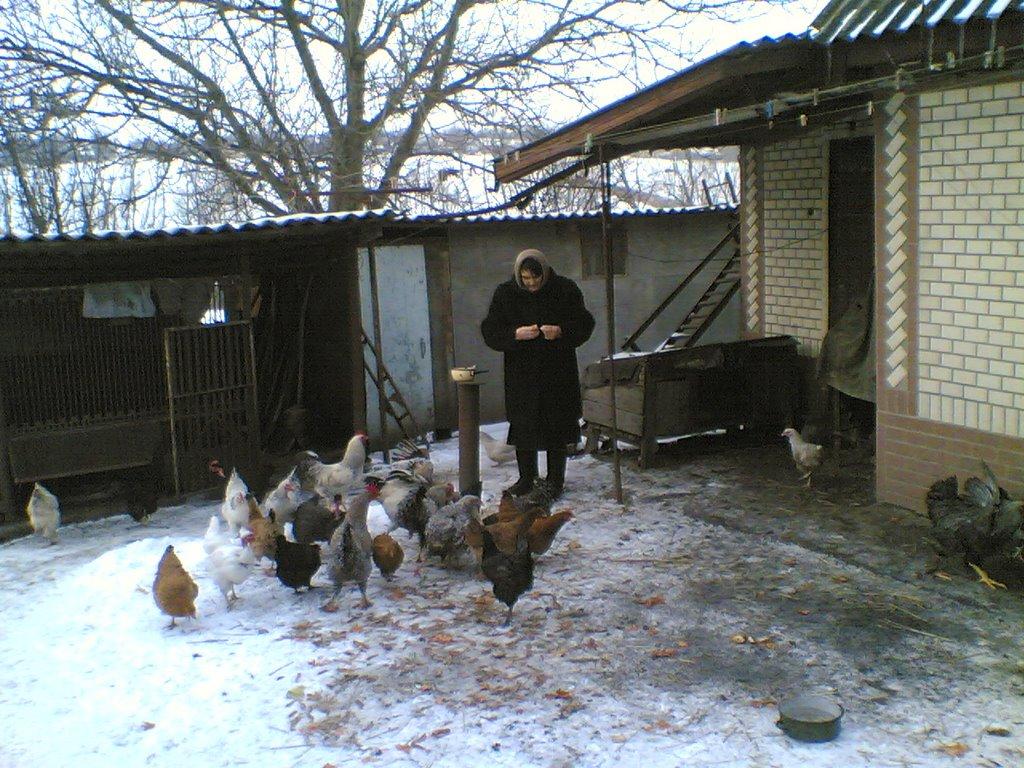 Теофілівка з panoramio.com - Теофілівка