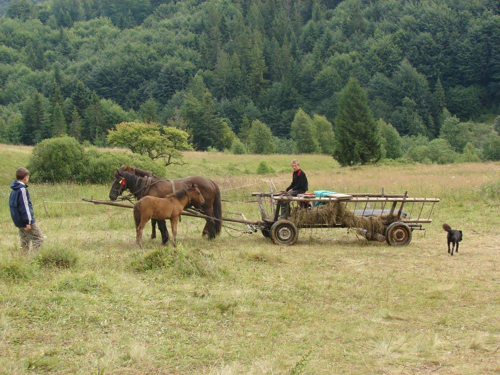 Люта з panoramio.com - Люта