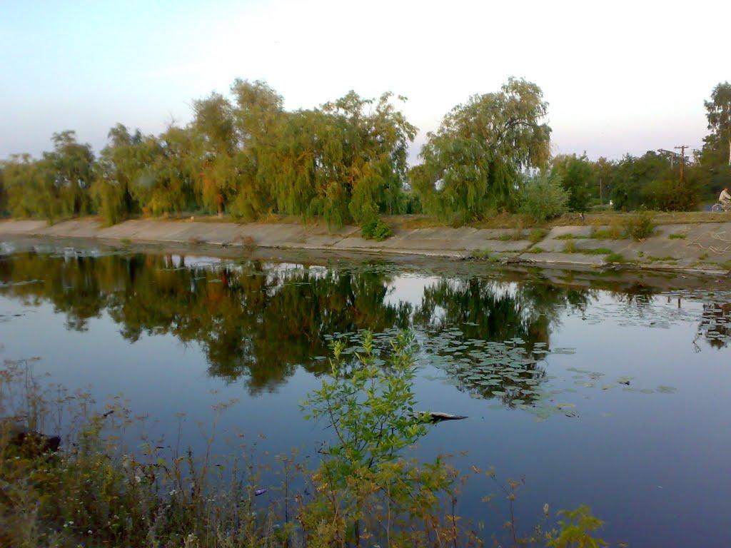 Пашківці з panoramio.com - Пашковцы