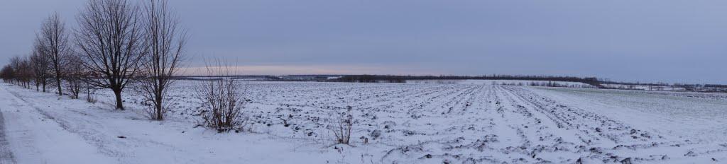 Зернове з panoramio.com - Зернове