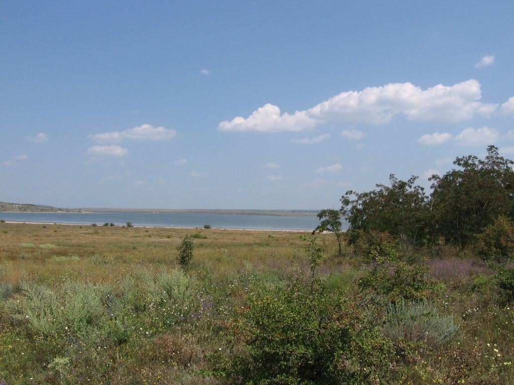 Калинівка з panoramio.com - Калинівка