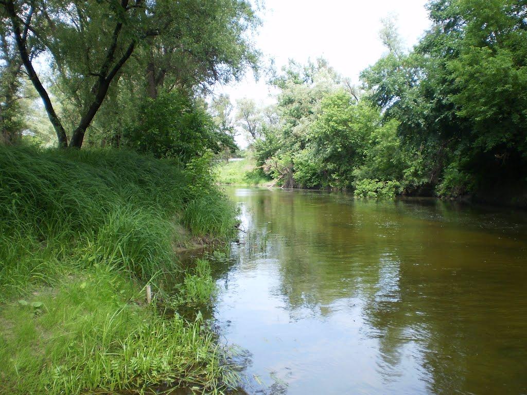 Юганівка з panoramio.com - Юганівка