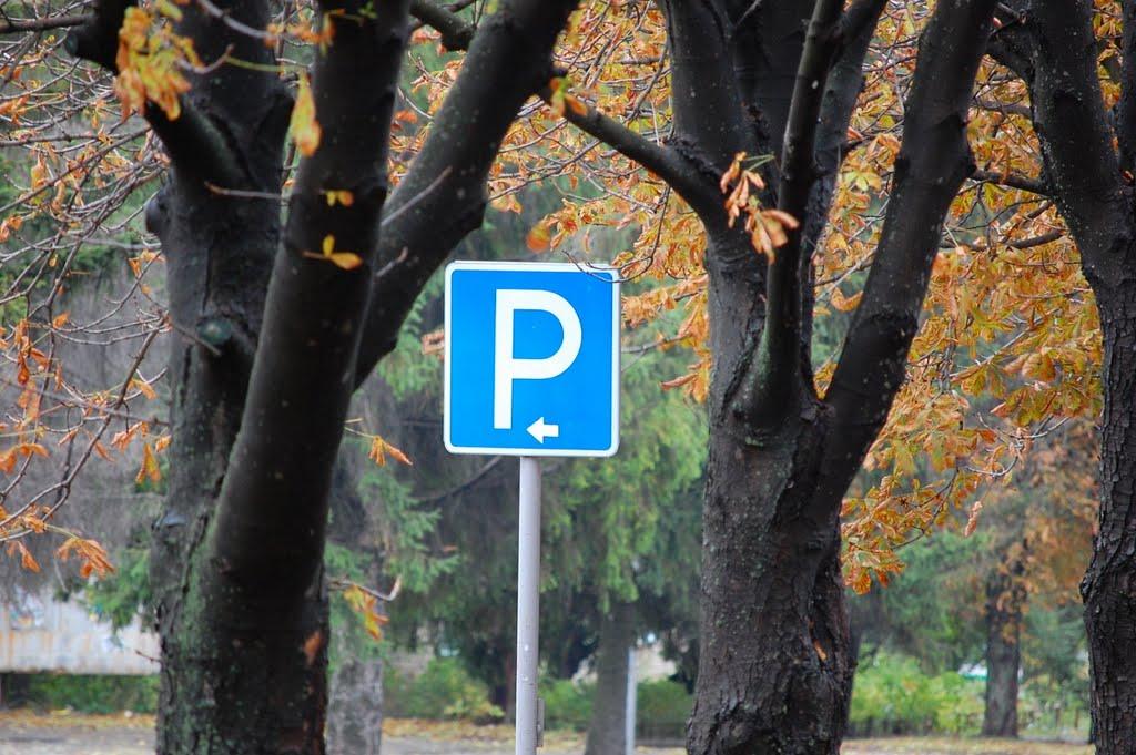 Солоне з panoramio.com - Солоне