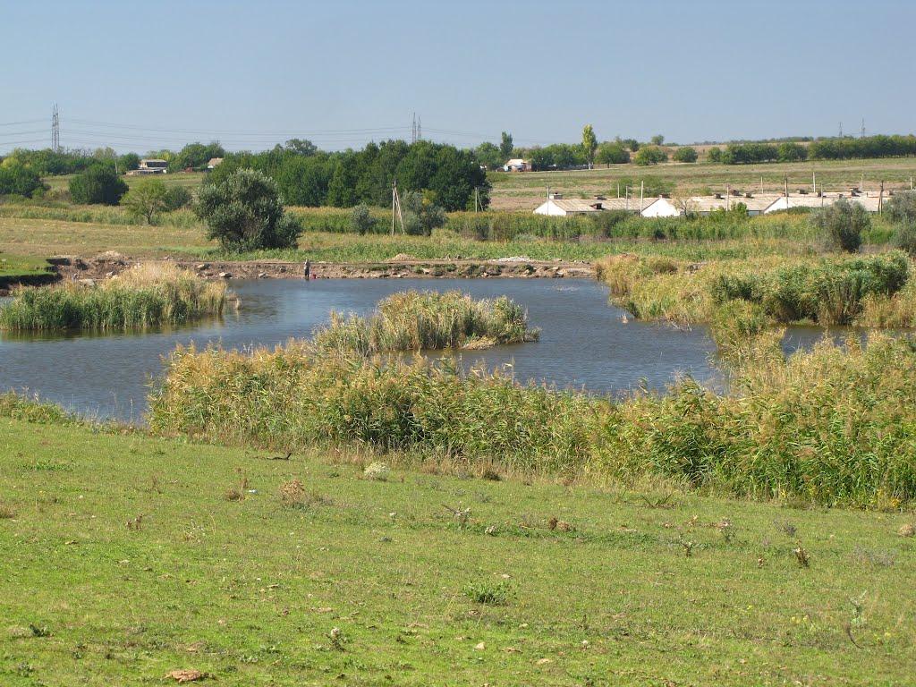 Московка з panoramio.com - Московка