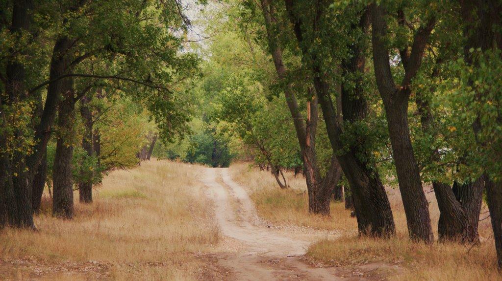 Крюківщина з panoramio.com - Крюківщина