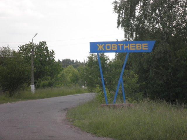 Грибовиця з panoramio.com - Грибовиця