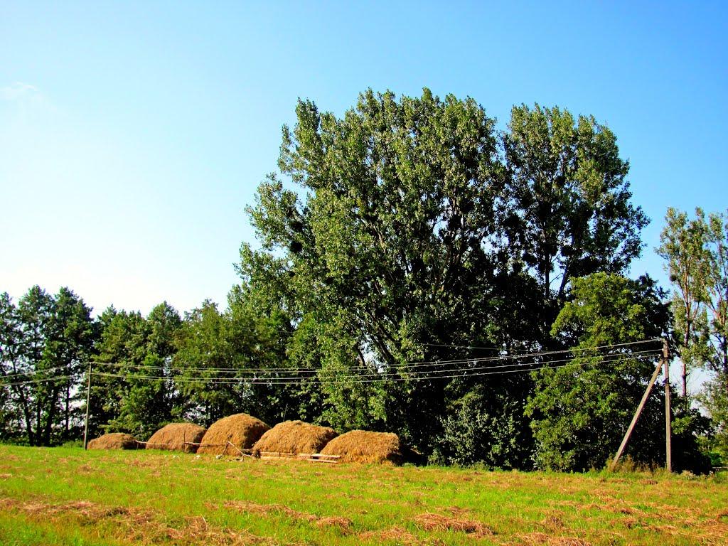 Четвертня з panoramio.com - Четвертня