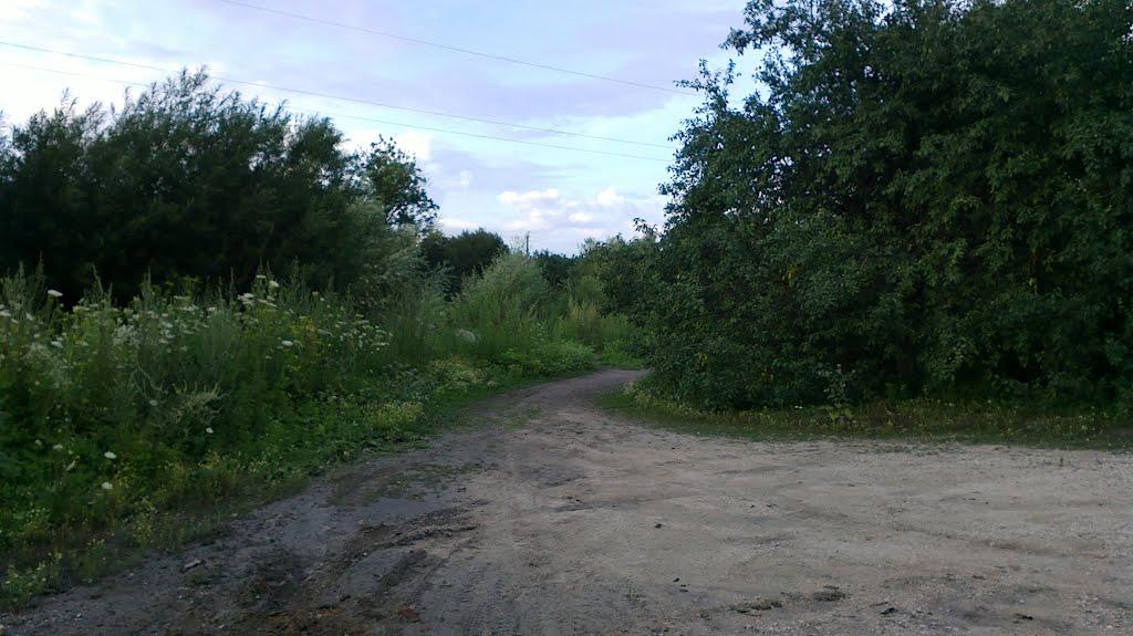 Війтівці з panoramio.com - Війтівці