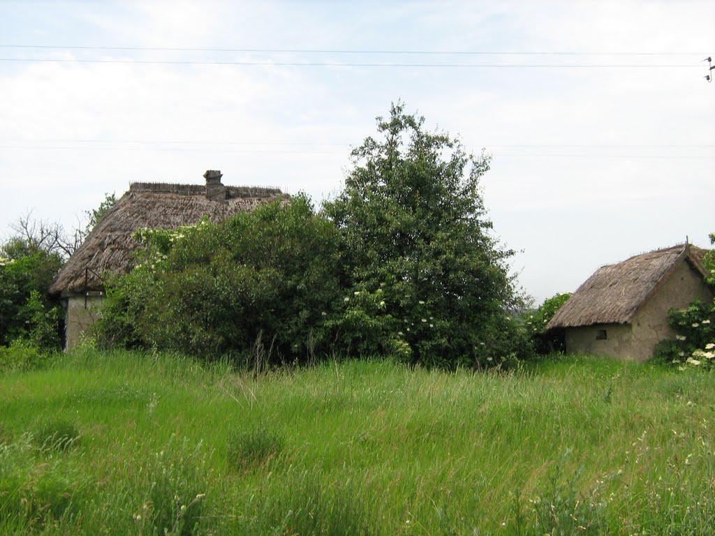 Пришиб з panoramio.com - Пришиб