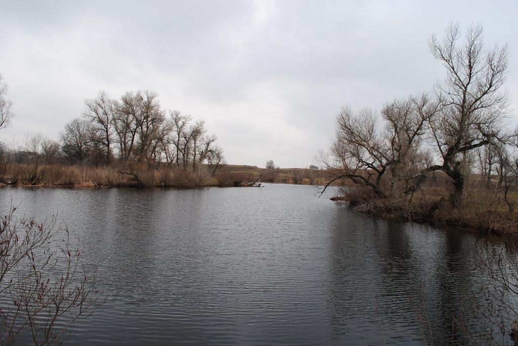 Миколаївка з panoramio.com - Миколаївка