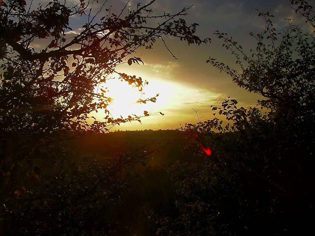 Богатир з panoramio.com - Богатир