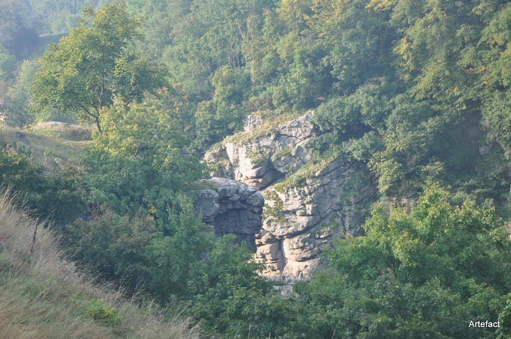 Буки з panoramio.com - Буки