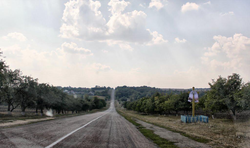 Теофілівка з panoramio.com - Теофілівка