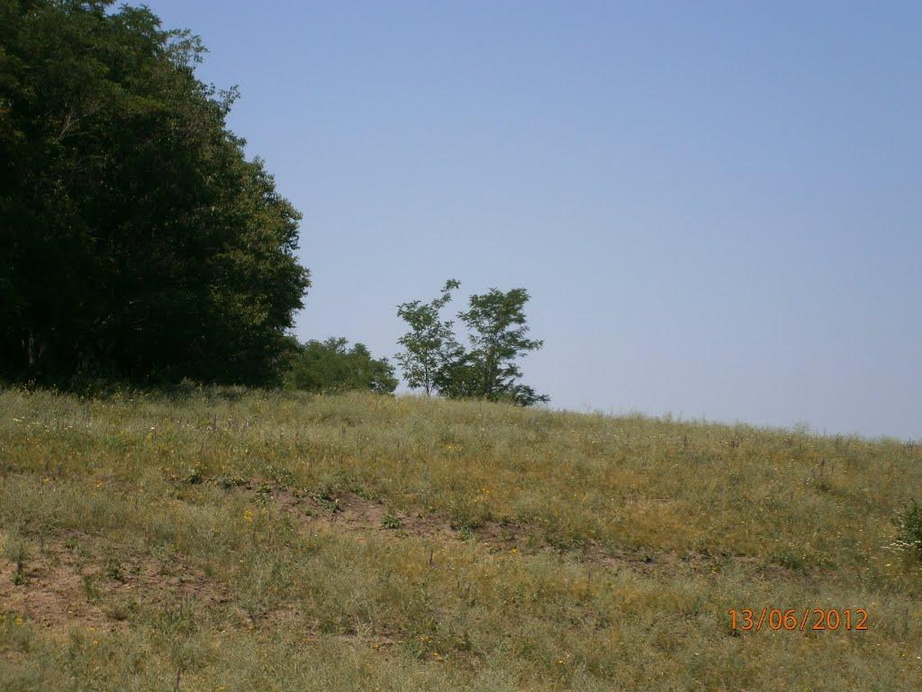 Колядівка з panoramio.com - Колядівка