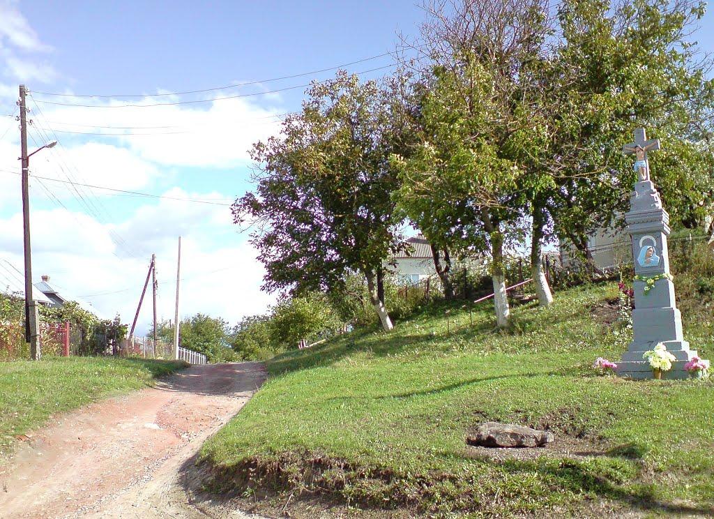 Бережани з panoramio.com - Berezhany