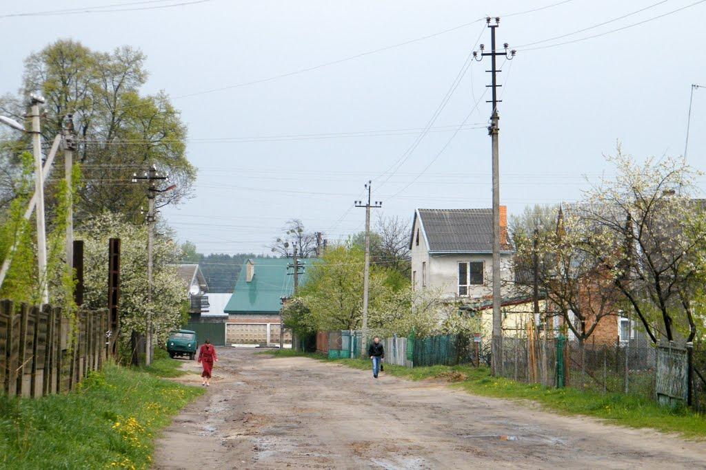 Лапаївка з panoramio.com - Lapayivka