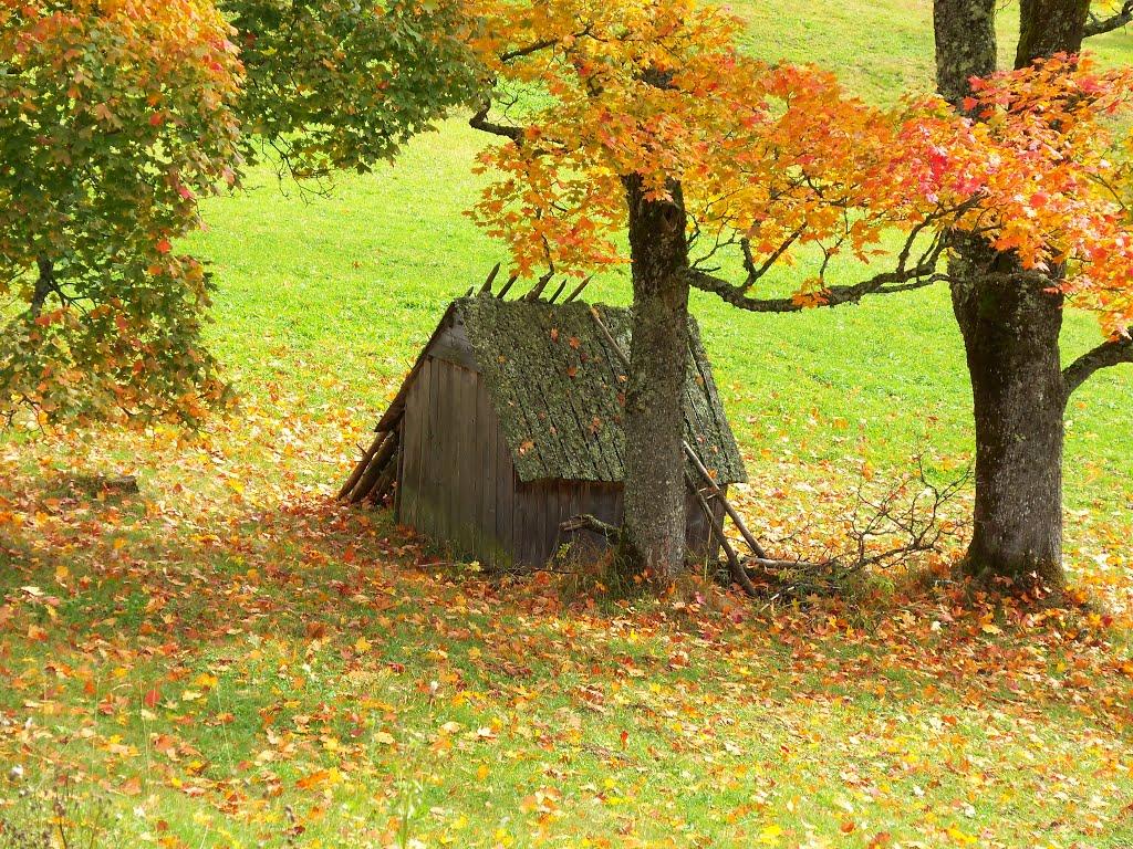 Вишків з panoramio.com - Вишків