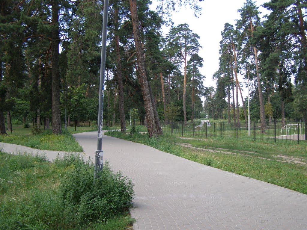 Гнідин з panoramio.com (ч.3) - Gnidyn