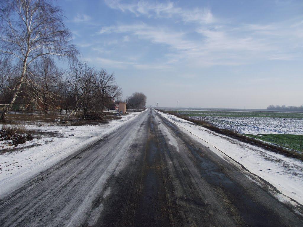 Зернове з panoramio.com - Зернове