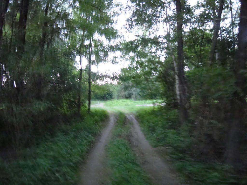 Рудники з panoramio.com - Рудники