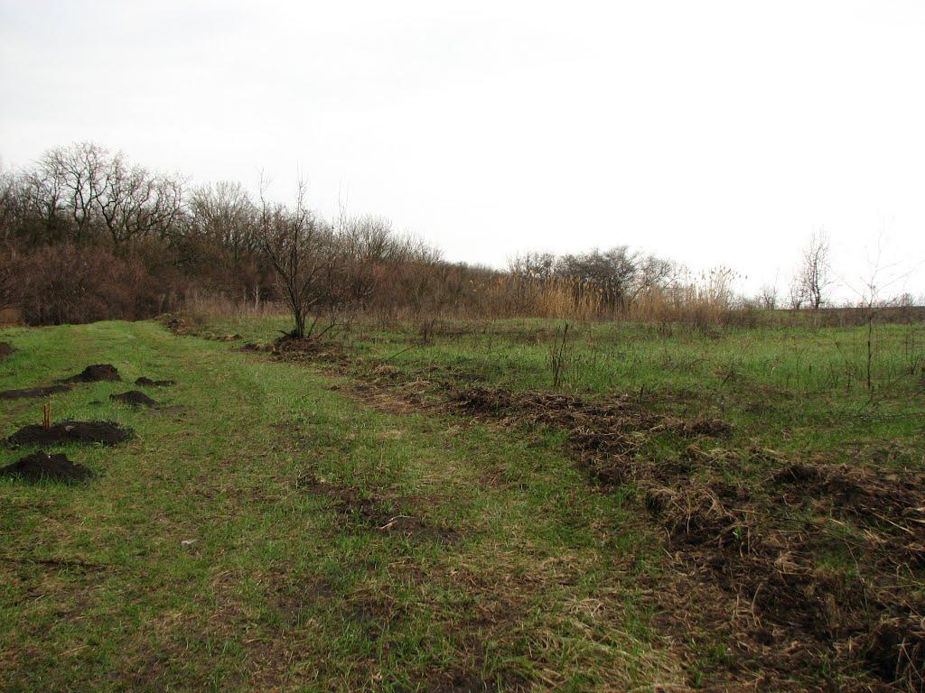 Литвинівка з panoramio.com - Литвинівка