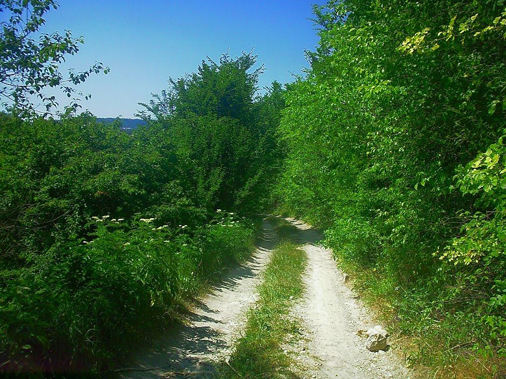 Велике Садове з panoramio.com - Большое Садовое