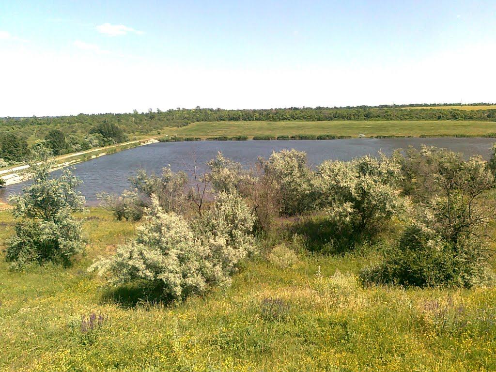 Калинове з panoramio.com - Калинове