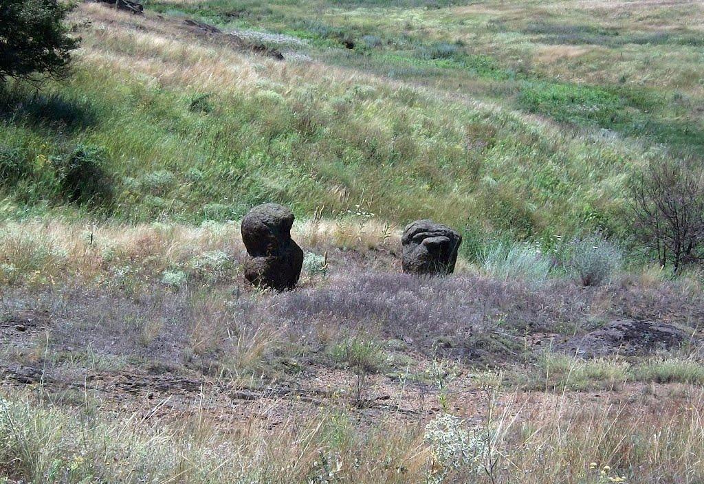 Новоселівка Друга з panoramio.com - Novoselivka Druga