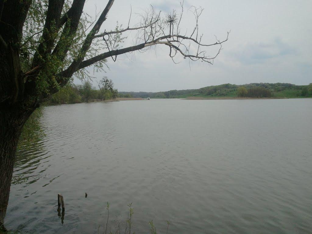 Ковалівка з panoramio.com - Ковалевка