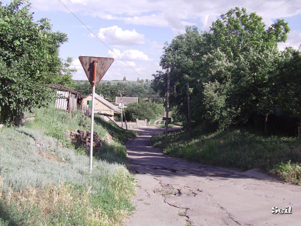 Покровське з panoramio.com - Покровське