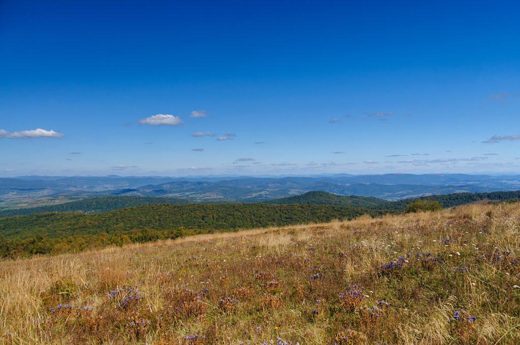 Пашківці з panoramio.com - Pashkivtsi