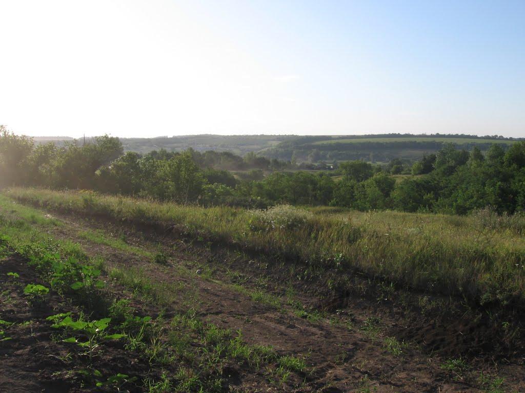 Катеринівка з panoramio.com - Катериновка