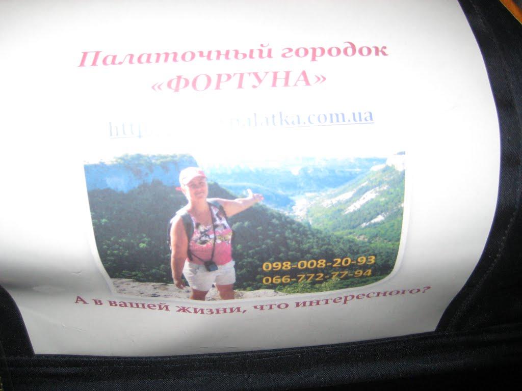 Путилівка з panoramio.com - Путиловка