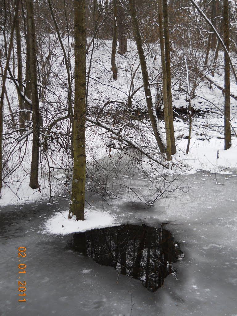 Горенка з panoramio.com - Горенка