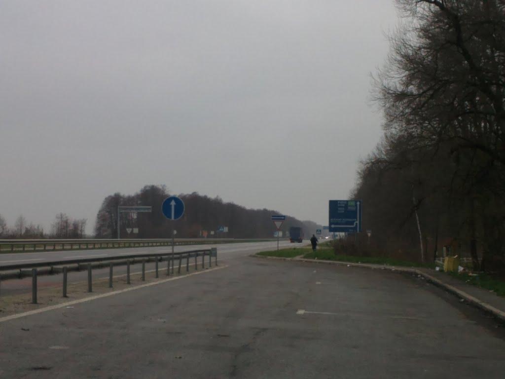 Великий Молодьків з panoramio.com - Великий Молодьків