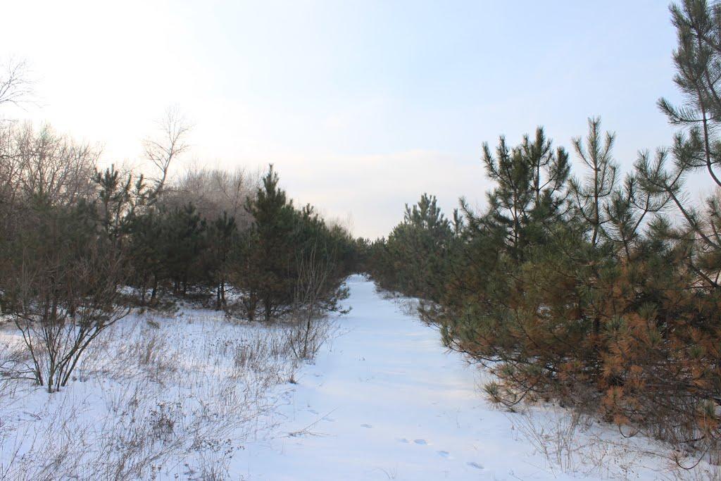 Кіровське з panoramio.com (ч.3) - Обуховка