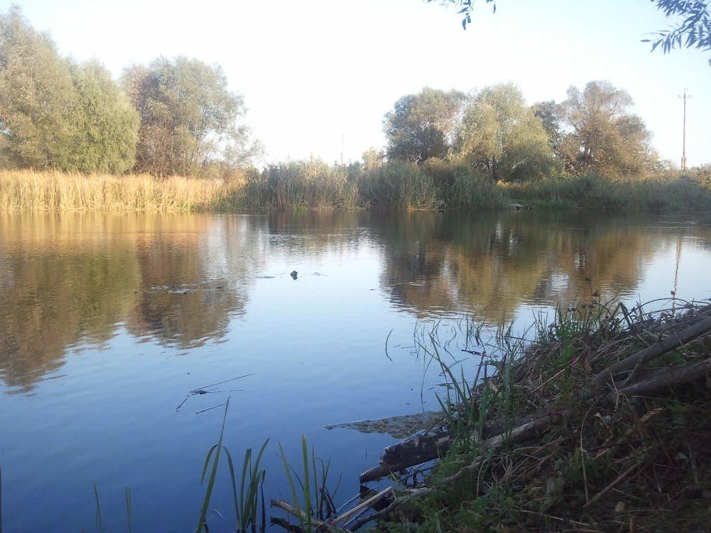 Куп'янськ з panoramio.com (ч.2) - Kupyansk