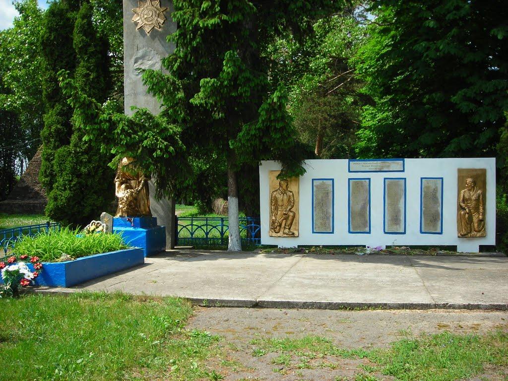 Березова Рудка з panoramio.com - Березова Рудка