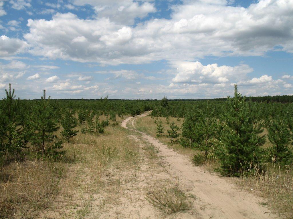 Рубіжне з panoramio.com - Рубіжне