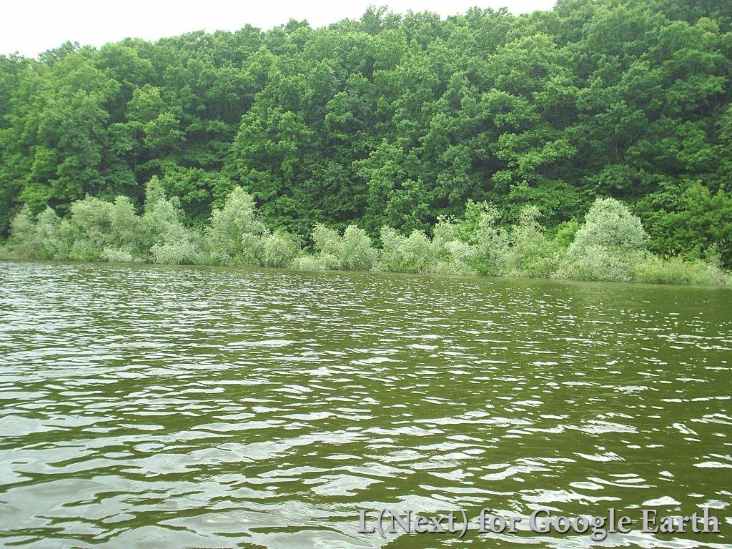 Рокитне з panoramio.com - Рокитне