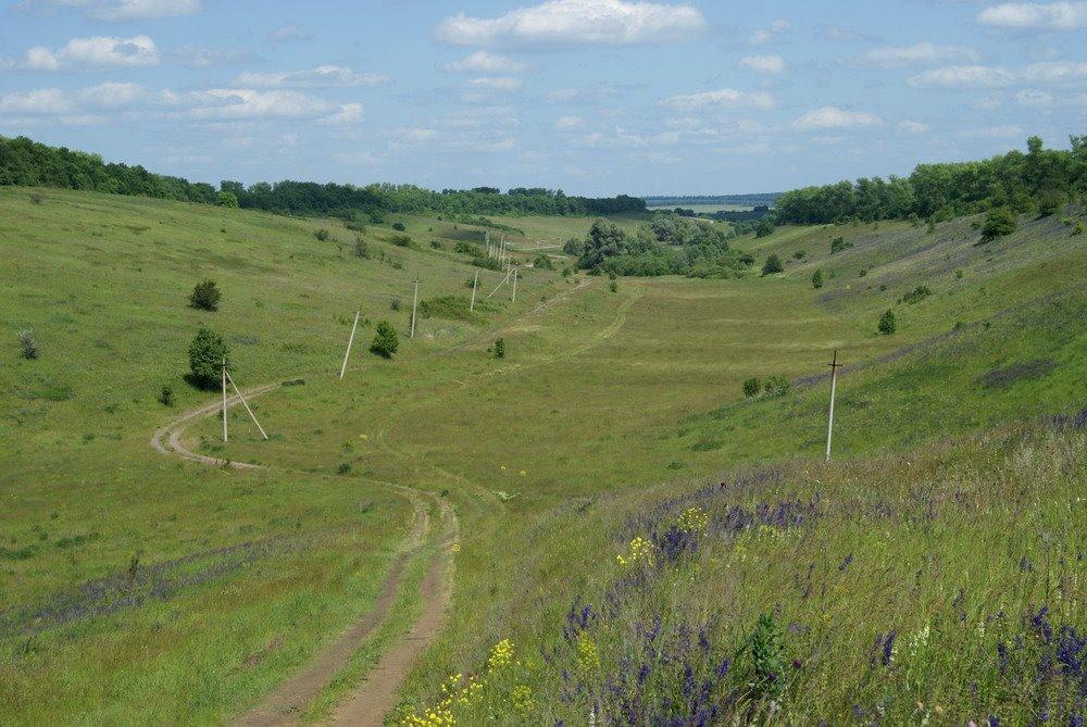 Шестакове з panoramio.com - Шестакове